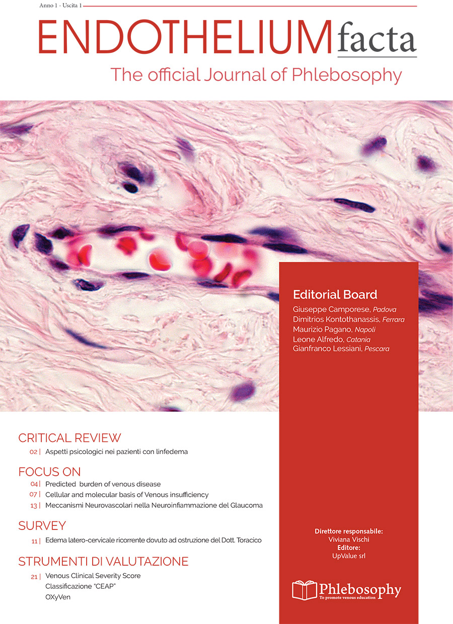 endothelium_facta_01